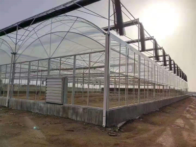 中国烟草、贺州项目