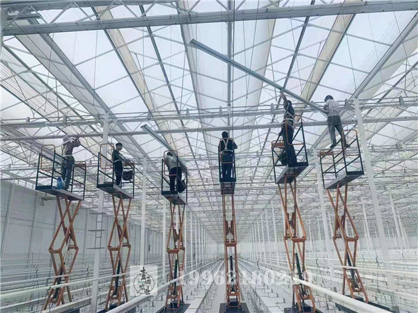 2019年9月  上海全开顶玻璃温室
